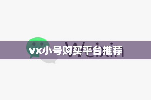 vx小号购买平台推荐