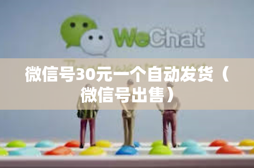 微信号30元一个自动发货（微信号出售）