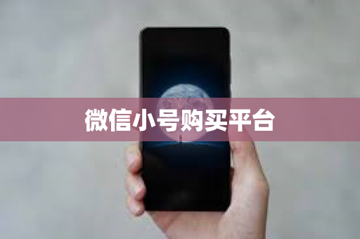微信小号购买平台