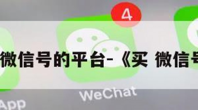 买微信号的平台-《买 微信号》